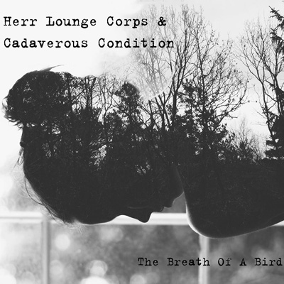 Cadaverous Condition collaboration album cover